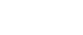 今年の活動