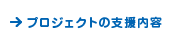 プロジェクトの支援内容