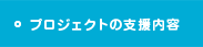 プロジェクトの支援内容