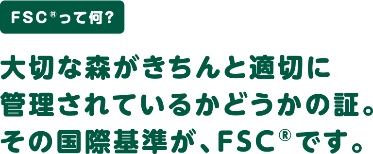 FSC®って何？ 大切な森がきちんと適切に管理されているかどうかの証。その国際基準が、FSC®です。
