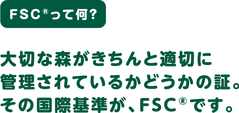 FSC®って何？ 大切な森がきちんと適切に管理されているかどうかの証。その国際基準が、FSC®です。