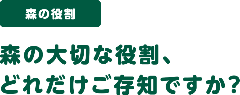 森の役割 森の大切な役割、どれだけご存知ですか？