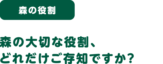 森の役割 森の大切な役割、どれだけご存知ですか？