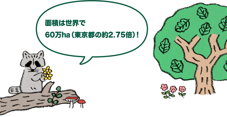 面積は世界で45万ha、日本も含め世界10カ国に！