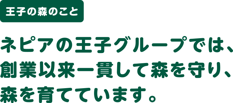 王子の森のこと ネピアの王子グループでは、創業以来一貫して森を守り、森を育てています。