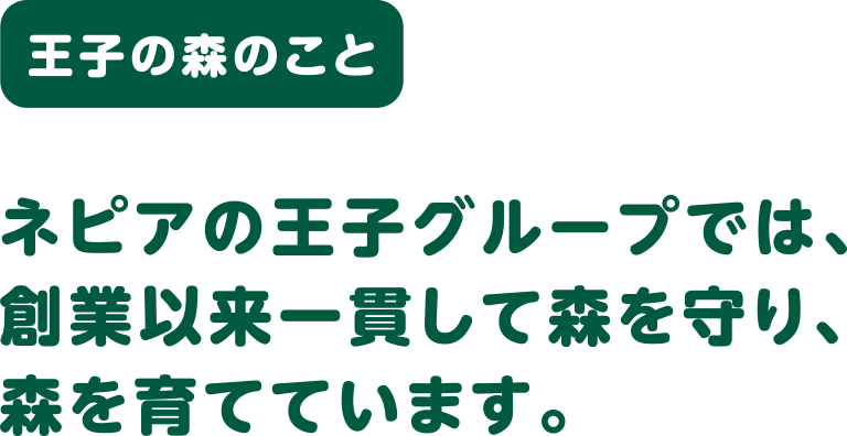 王子の森のこと ネピアの王子グループでは、創業以来一貫して森を守り、森を育てています。