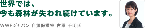 世界では、今も森林が失われ続けています。