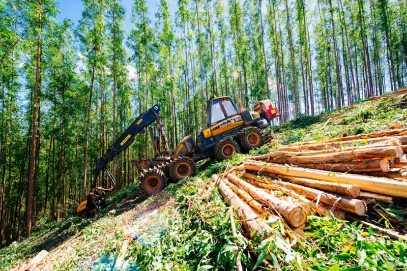 Forest Resources and Environment Marketing Business