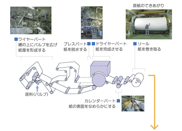 抄紙工程図