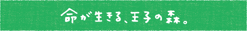命が生きる、王子の森