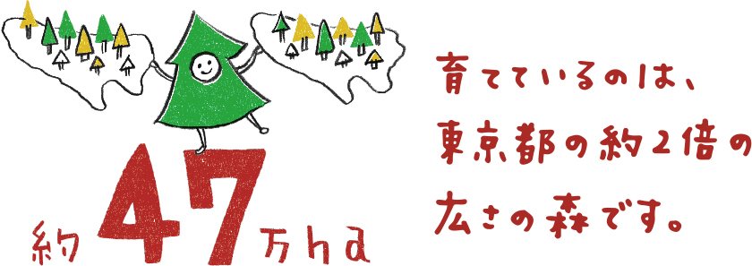約47万ha　育てているのは、東京都の約2倍の広さの森です。