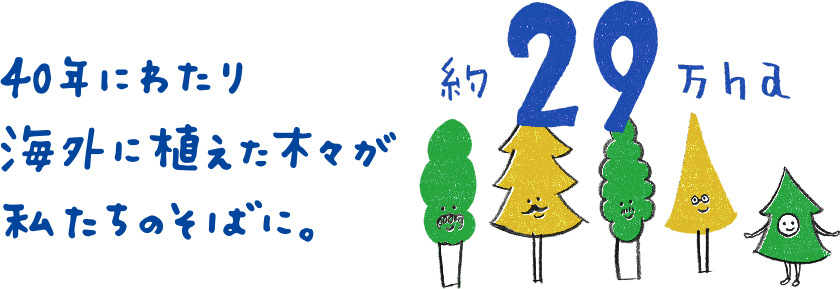 約29万ha　40年にわたり海外に植えた木々が私たちのそばに。