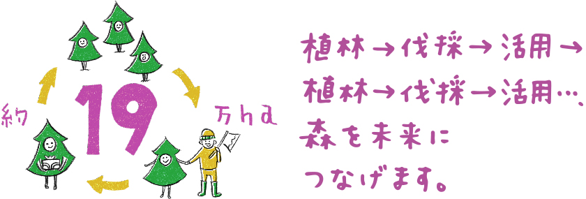 約19万ha　植林→伐採→活用→植林→伐採→活用・・・、森を未来につなげます。