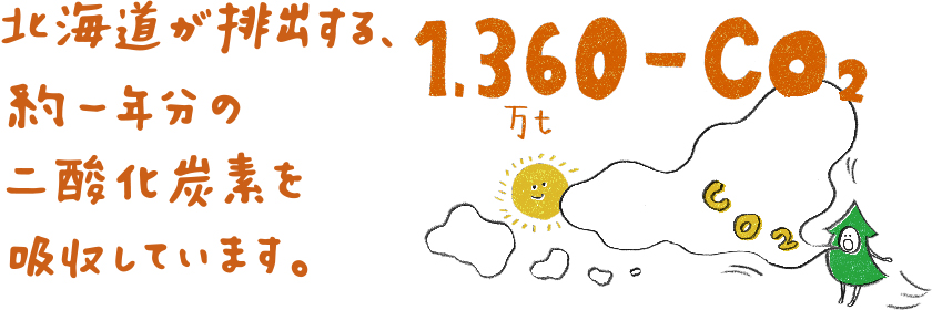 1,360万t-CO2　北海道が排出する、約一年分の二酸化炭素を吸収しています。