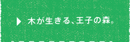 木が生きる、王子の森。