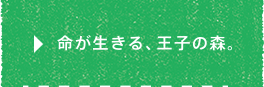 命が生きる、王子の森。