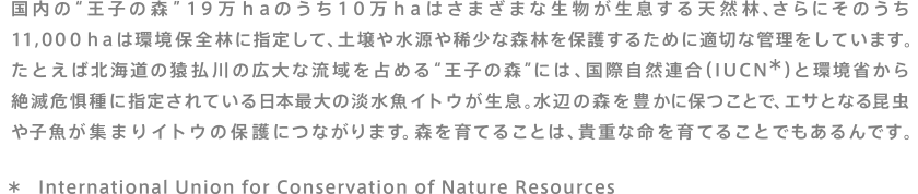国内の"王子の森"19万haのうち10万haはさまざまな生物が生息する天然林、さらにそのうち11,000haは環境保全林に指定して、土壌や水源や稀少な森林を保護するために適切な管理をしています。たとえば北海道の猿払川の広大な流域を占める"王子の森"には、国際自然連合（IUCN*）と環境省から絶滅危惧種に指定されている日本最大の淡水魚イトウが生息。水辺の森を豊かに保つことで、エサとなる昆虫や小魚が集まりイトウの保護につながります。森を育てることは、貴重な命を育てることでもあるんです。　* International Union for Conservation of Nature Resources